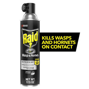 5 Pack Raid Wasp & Hornet Spray Killer 33 Outdoor Use 22 Feet 17.5 oz Each Can